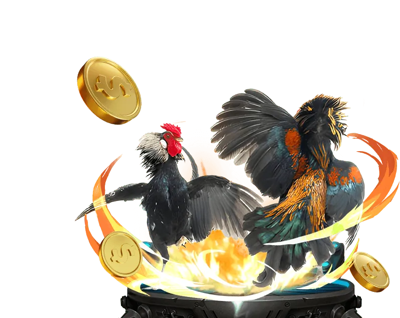 Tại sao chọn gâcm67 win